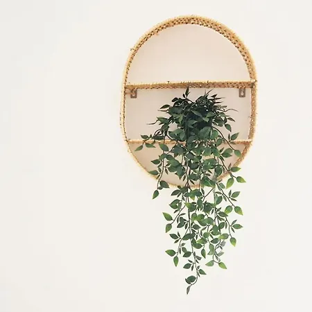 公寓 El Recuerdo De Stunning Location